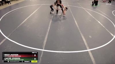 59 lbs Quarterfinal - Carter Johnson, Big Lake Swarm Wrestling Club vs Micky Jackson, Stillwater Area Wrestling