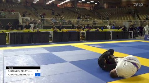 CHRISTOPHER STANLEY ZELAYA vs ADRIAN RAFAEL HERMOSILLO 2024 Pan Jiu Jitsu IBJJF Championship
