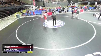 132 lbs Champ. Round 3 - Damian Saldivar, California vs Tommy Holguin, Amateur Wrestling Academy