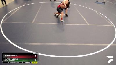 250 lbs Cons. Semi - Adam Gerulis, Minnesota vs Jacob Larson, Blaine Wrestling