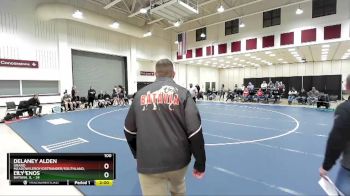 100 lbs Semis & 1st Wrestleback (8 Team) - Lily Enos, Batavia, IL vs Delaney Alden, Grand Meadow/Leroy/Ostrander/Southland, MN