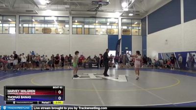 57 lbs Cons. Round 3 - Harvey Walgren, Champions Wrestling Club vs Thomas Banas, Illinois