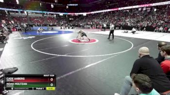 D1-126 lbs 3rd Place Match - Noah Moltzan, Hudson vs Cade Aaberg, Oregon