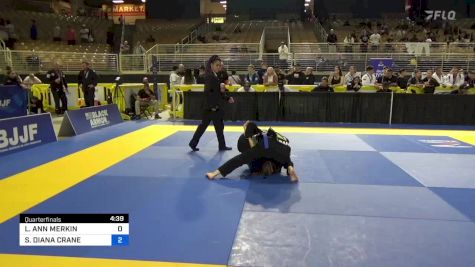 LIBERTY ANN MERKIN vs SERINEH DIANA CRANE 2024 Pan Jiu Jitsu IBJJF Championship