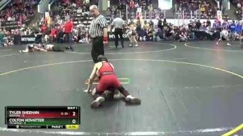 60 lbs Round 1 (4 Team) - Tyler Sheehan, Bedford vs Colton Hovatter, Tecumseh