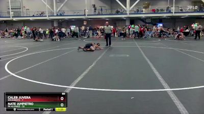 88 lbs Round 5 (8 Team) - Nate Iampietro, PA Alliance vs Caleb Juvera, Doughboys