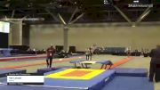 Van Larson - Double Mini Trampoline, Aspire - 2021 USA Gymnastics Championships