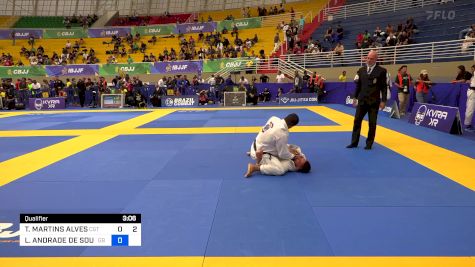 THIANO MARTINS ALVES vs LUAN ANDRADE DE SOUSA 2024 Brasileiro Jiu-Jitsu IBJJF