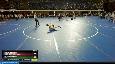 98 lbs Quarterfinal - Slade Risher, Iowa vs Colt Jedlicka, Sebolt Wrestling Academy