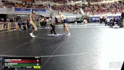 D1-175 lbs Cons. Semi - Jaxon Hamilton, Casteel HS vs RJ Robinson, Desert Vista