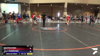 113 lbs Quarterfinal - Colston Parks, MO vs Cale Vandermark, IA