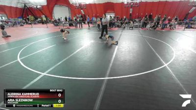 65-70 lbs 5th Place Match - Audrina Kammerud, Sarbacker Wrestling Academy vs Aria Sleznikow, Wisconsin