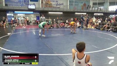 100 lbs Quarterfinals (8 Team) - Blake Johnson, TNWCC vs Joaquin Apple, Williamson County WC