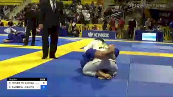 THIAGO CESAR DE ANDRADE SILVA vs FELLIPE ANDREW LEANDRO SILVA 2022 World Jiu-Jitsu IBJJF Championship