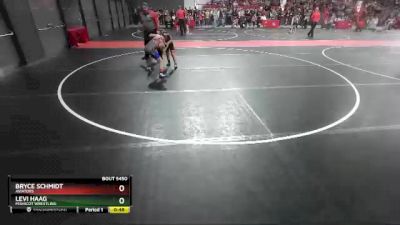 80 lbs Cons. Round 4 - Bryce Schmidt, Aviators vs Levi Haag, Mishicot Wrestling