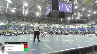 109 lbs Final - Paislee Mestas, Mancos Bluejays vs Emory Little, Lesher