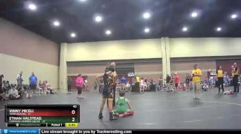82 lbs Round 4 (6 Team) - Ethan Halstead, Carolina Hammer Squad vs Vinny Miceli, Team Gotcha
