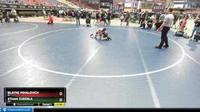 84 lbs 7th Place Match - Ethan Suberla, WI vs Blayne Mihalovich, IA