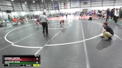 138 lbs Cons. Round 4 - Cayden Carter, New Kent Wrestling Club vs Donovan Gunn, Topsail