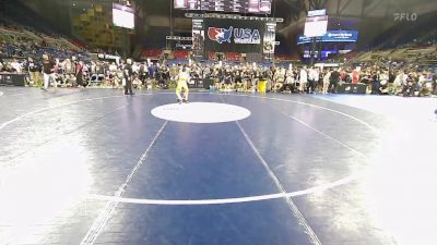 94 lbs Cons 8 #2 - Allen Woo, Illinois vs Daniel Goodwin, Illinois