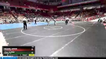 195 lbs D2/d3 - Semi-finals (sat 10:00am.) - Cole Klimek, Coleman vs Michael Upson, Random Lake