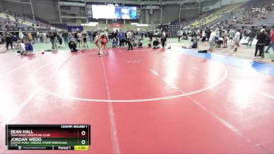 132 lbs Champ. Round 1 - Sean Hall, Team Idaho Wrestling Club vs Jordan Wedo, Center Point-Urbana Storm Wrestling Club