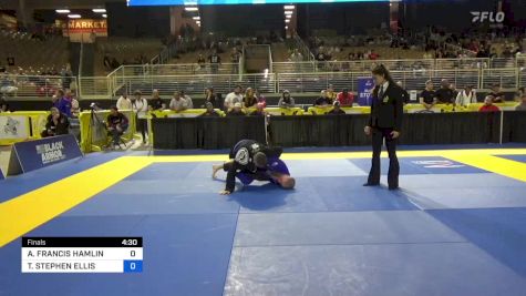 ANTHONY FRANCIS HAMLIN vs TODD STEPHEN ELLIS 2024 Pan Jiu Jitsu IBJJF Championship