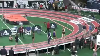 W 4x200 F01 (live)