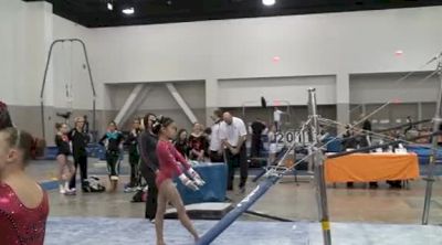 Swiss Turners (Nadia Cho)