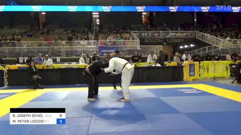 BRIAN JOSEPH SCHELL vs MATTHEW PETER LIGOZIO 2024 Pan Jiu Jitsu IBJJF Championship