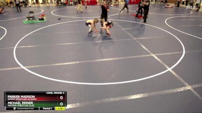 98 lbs Cons. Round 4 - Parker Madison, Summit Wrestling Academy vs Michael Reiner, Waconia Wrestling Club