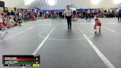 80 lbs Round 6 (8 Team) - Carter Lirgg, Terps Xtreme vs Stone Ware, Noke Wrestling RTC