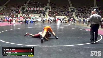 220 lbs Cons. Semi - Charles Adams, Montevallo vs Bobby Hosae, Thomasville HS