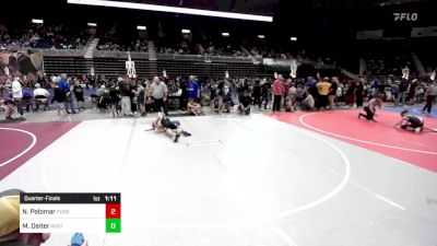 116 lbs Quarterfinal - Noah Palomar, Pueblo vs Madalyn Deiter, Rustler WC