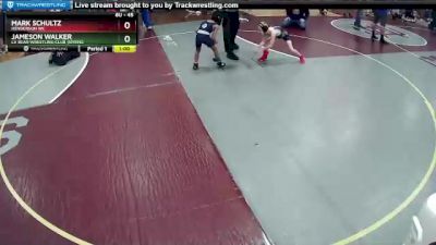 45 lbs Round 2 - Mark Schultz, Henderson WC vs Jameson Walker, LV Bear Wrestling Club (Spring