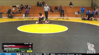 100 lbs Cons. Semi - Nate Mitchell, USA Gold vs Trenton Vannucci, Paradise Wrestling