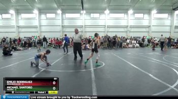 80 lbs Round 4 (8 Team) - Emilio Rodriguez, Neighborhood vs Michael Santoro, Medina