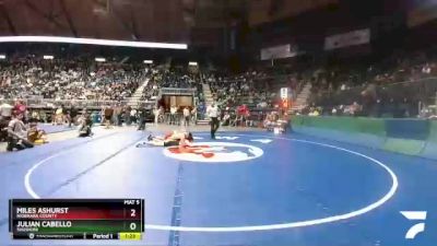 2A-182 lbs Quarterfinal - Miles Ashurst, Niobrara County vs Julian Cabello, Shoshoni