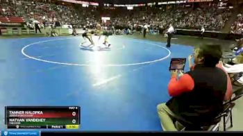 D2-145 lbs Semifinal - Tanner Halopka, Abbotsford/Colby vs Nathan VandeHey, Freedom