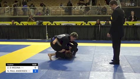 ZACHORY JOESEPH STUBBS-MEDINA vs NOAH PAUL ANDERSEN 2024 Pan Jiu Jitsu IBJJF Championship
