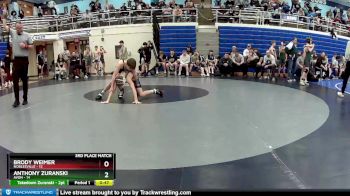 102 lbs Placement (4 Team) - Anthony Zuranski, Avon vs Brody Weimer, Noblesville