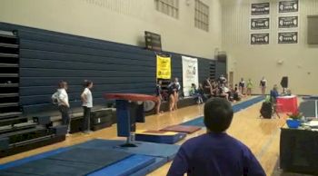 Legacy Elite (Amanda Wellick)