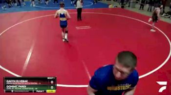160 lbs Quarterfinals (8 Team) - Dominic Pardi, STMA (St. Michael/Albertville) vs Gavyn Elvebak, Maple River/United South Central