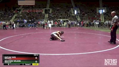 132 lbs Quarterfinal - Brayden Wilson, Opelika Hs vs Gatlin Tate, Prattville