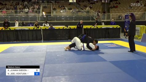 ANDRE JUWAN GIBSON vs NILXON JOEL VENTURA 2024 Pan Jiu Jitsu IBJJF Championship