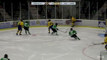 Replay: Home - 2023 Tigers vs Cougars | Oct 23 @ 6 PM