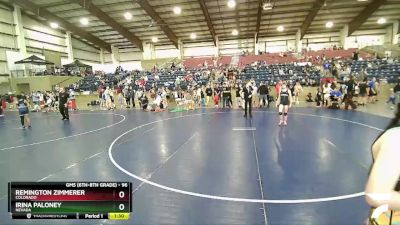 96 lbs Quarterfinal - Remington Zimmerer, Colorado vs Irina Paloney, Nevada