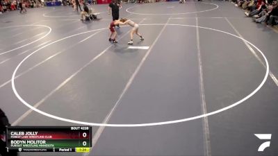 82 lbs Quarterfinal - Caleb Jolly, Forest Lake Wrestling Club vs Bodyn Molitor, Pursuit Wrestling Minnesota