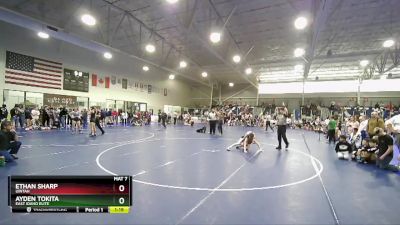 113 lbs Quarterfinal - Ethan Sharp, Uintah vs Ayden Tokita, East Idaho Elite