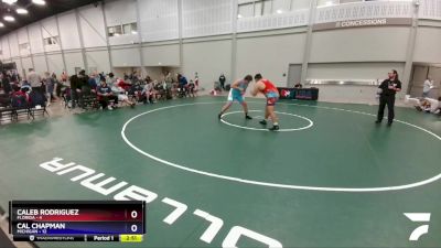 285 lbs Placement Matches (8 Team) - Caleb Rodriguez, Florida vs Cal Chapman, Michigan